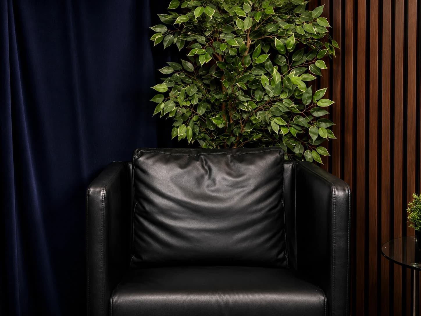 One black leather chair in The Wing, with blue curtains, a leafy plant, and walnut slats.
